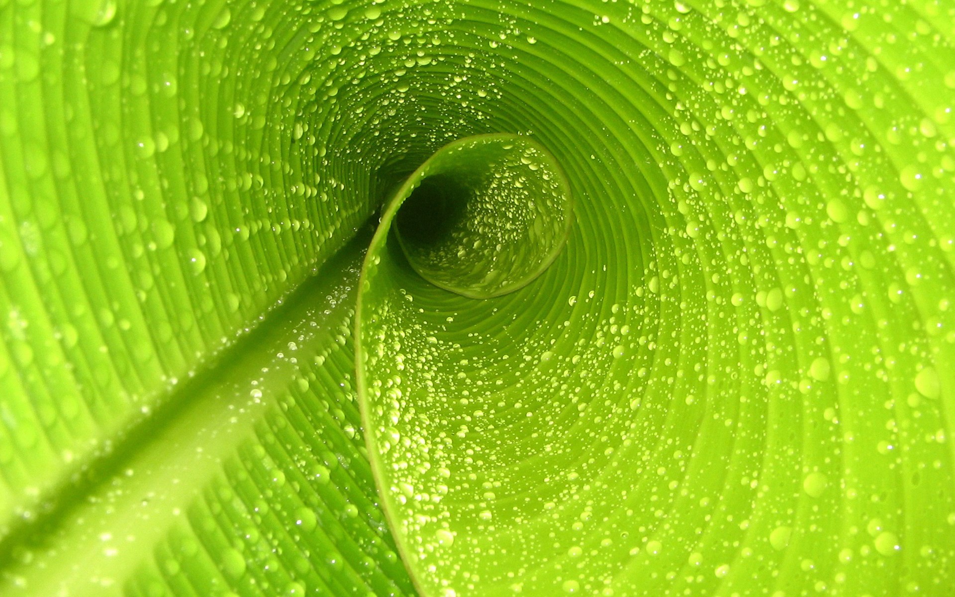 世界短跑社区导师扶持计划第52批结项报告公开,搜索世界短跑冠军