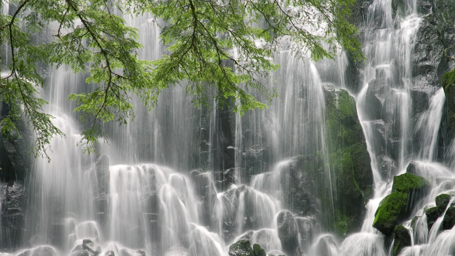 世界短道速滑锦标赛赛场温控设备升级投用，短道速滑测试赛